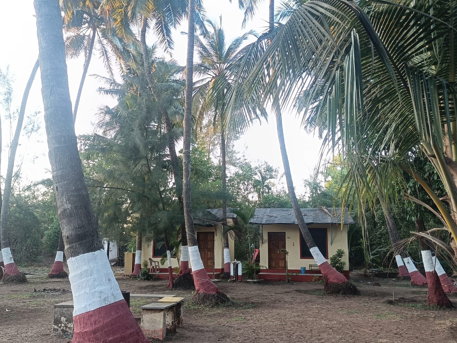 Resort Photo